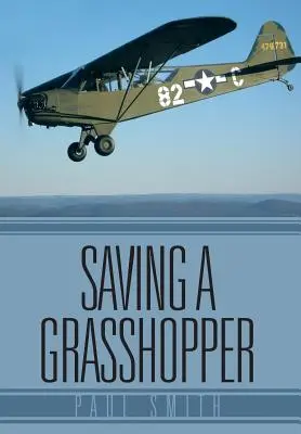 Salvar a un saltamontes - Saving a Grasshopper