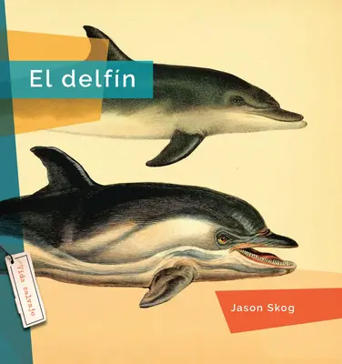 El Delfín - El Delfin