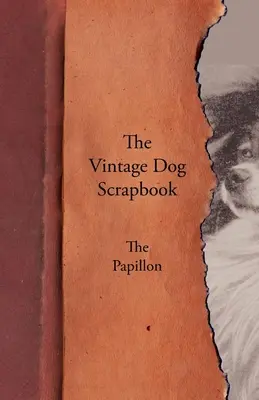 The Vintage Dog Scrapbook - El Papillon - The Vintage Dog Scrapbook - The Papillon