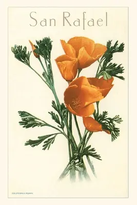 Diario Vintage San Rafael, California Amapolas - Vintage Journal San Rafael, California Poppies