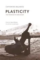 Plasticidad: La promesa de la explosión - Plasticity: The Promise of Explosion