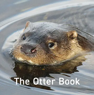 Libro de la nutria - Otter Book