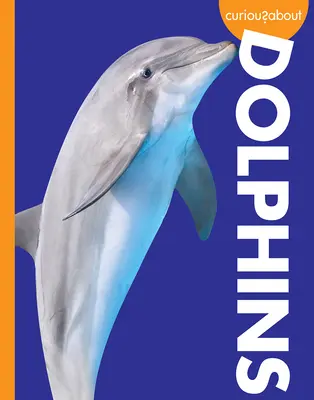 Curiosidad por los delfines - Curious about Dolphins