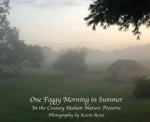 Una mañana brumosa de verano: En la Reserva Natural de Creasey Mahan - One Foggy Morning in Summer: In the Creasey Mahan Nature Preserve