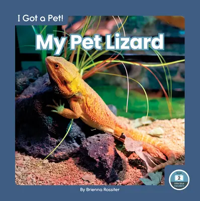 Mi lagarto - My Pet Lizard