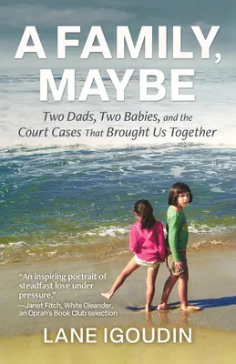 Una familia, tal vez: Two Dads, Two Babies, and the Court Cases That Brought Us Together (Dos padres, dos bebés y los casos judiciales que nos unieron) - A Family, Maybe: Two Dads, Two Babies, and the Court Cases That Brought Us Together