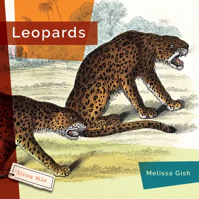 Leopardos - Leopards