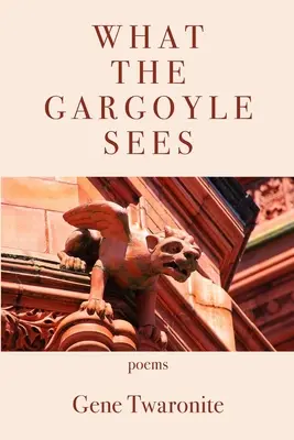 Lo que ve la gárgola - What the Gargoyle Sees