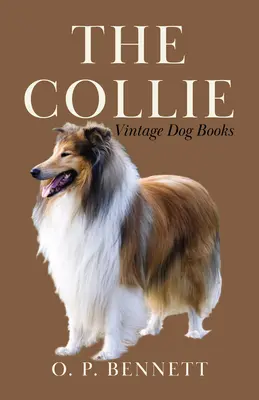 El Collie - The Collie