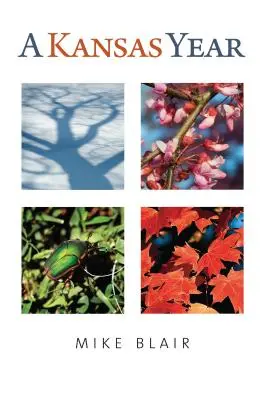 Un año en Kansas - A Kansas Year