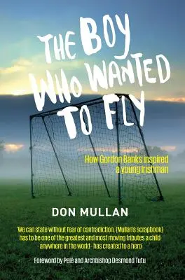 El niño que quería volar - The Boy Who Wanted To Fly