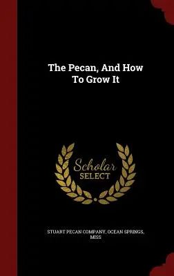 La nuez y su cultivo - The Pecan, And How To Grow It