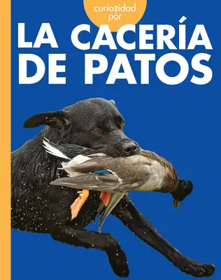 Curiosidad Por La Cacera de Patos