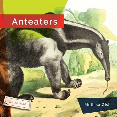 Osos hormigueros - Anteaters