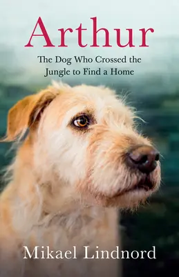 Arthur: El perro que cruzó la selva para encontrar un hogar - Arthur: The Dog Who Crossed the Jungle to Find a Home