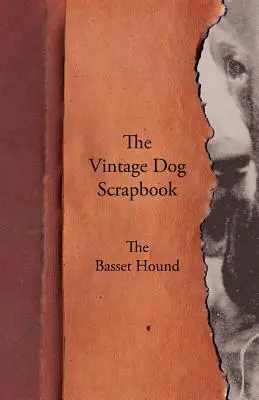 The Vintage Dog Scrapbook - El Basset Hound - The Vintage Dog Scrapbook - The Basset Hound