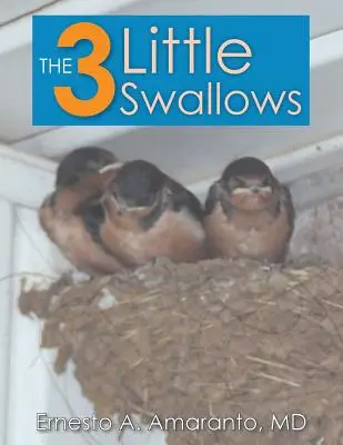 Las 3 pequeñas golondrinas - The 3 Little Swallows