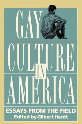 La cultura gay en América: Ensayos desde el terreno - Gay Culture in America: Essays from the Field