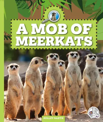 Una multitud de suricatas - A Mob of Meerkats