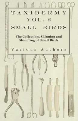 Taxidermia Vol. 2 Pequeñas aves - Recogida, desollado y montaje de pequeñas aves - Taxidermy Vol. 2 Small Birds - The Collection, Skinning and Mounting of Small Birds