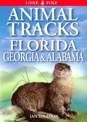 Huellas de animales de Florida, Georgia y Alabama - Animal Tracks of Florida, Georgia, Alabama