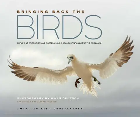 Traer de vuelta a las aves: Explorando la migración y preservando los paisajes ornitológicos de las Américas - Bringing Back the Birds: Exploring Migration and Preserving Birdscapes Throughout the Americas