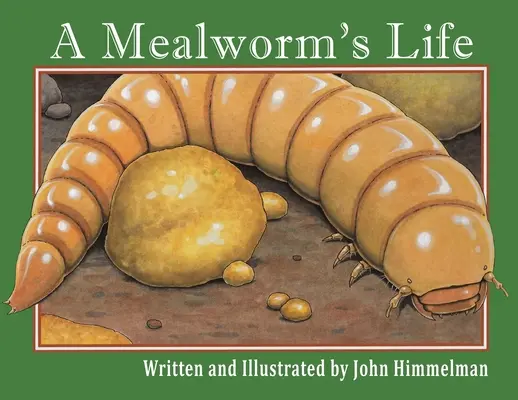 La vida de un gusano de la harina - A Mealworm's Life