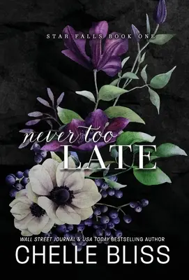 Nunca es demasiado tarde - Never Too Late