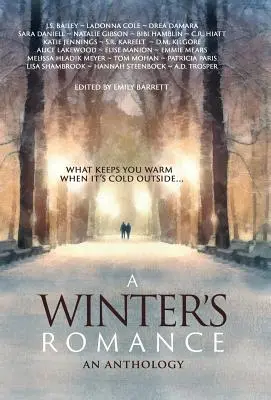 Un romance de invierno - A Winter's Romance