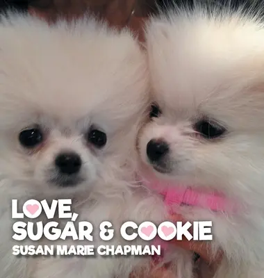 Amor, azúcar y galletas - Love Sugar & Cookie