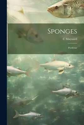 Esponjas; Poríferas - Sponges; Poriferae