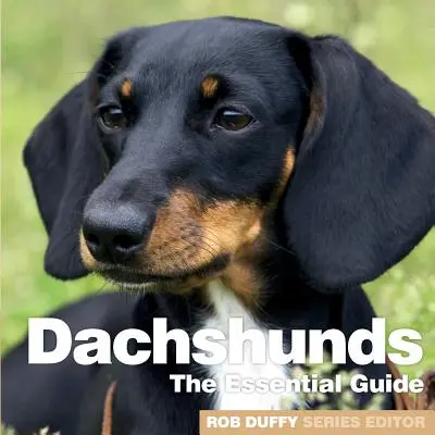 Perros salchicha: La guía esencial - Dachshunds: The Essential Guide