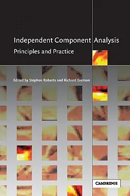 Análisis de Componentes Independientes: Principios y práctica - Independent Component Analysis: Principles and Practice