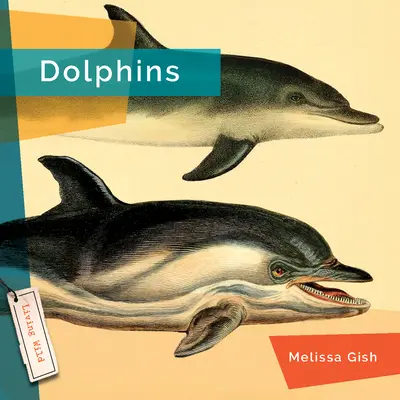 Delfines - Dolphins