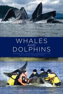 Ballenas y delfines: Cognición, cultura, conservación y percepciones humanas - Whales and Dolphins: Cognition, Culture, Conservation and Human Perceptions