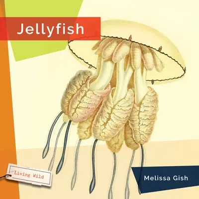 Medusas - Jellyfish