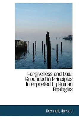 Forgiveness and Law: Fundamentado en principios interpretados por analogías humanas - Forgiveness and Law: Grounded in Principles Interpreted by Human Analogies
