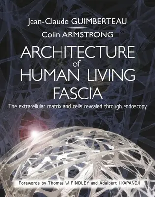 Arquitectura de la fascia viva humana: La matriz extracelular y las células reveladas mediante endoscopia - Architecture of Human Living Fascia: The Extracellular Matrix and Cells Revealed Through Endoscopy