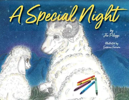 Una noche especial: un libro navideño para colorear - A Special Night: a Christmas coloring book