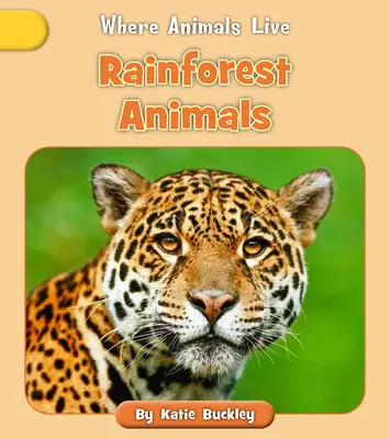 Animales de la selva tropical - Rainforest Animals