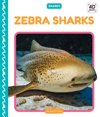 Tiburón cebra - Zebra Sharks