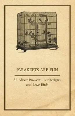 Los periquitos son divertidos - Todo sobre periquitos, periquitos y agapornis - Parakeets are Fun - All About Parakeets, Budgerigars, and Love Birds