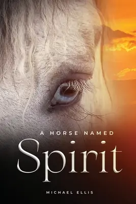 Un caballo llamado Spirit - A Horse Named Spirit