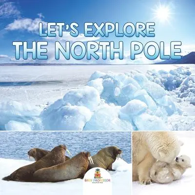 Exploremos el Polo Norte - Let's Explore the North Pole