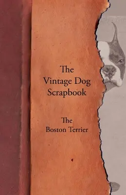 El álbum de recortes de perros de época - El Boston Terrier - The Vintage Dog Scrapbook - The Boston Terrier
