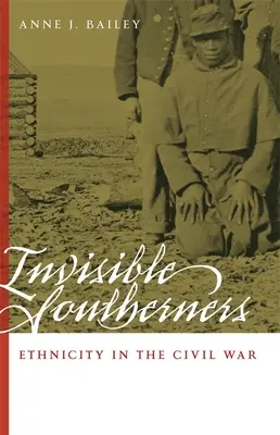 Los sureños invisibles: El origen étnico en la Guerra Civil - Invisible Southerners: Ethnicity in the Civil War