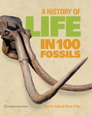 Una historia de la vida en 100 fósiles - A History of Life in 100 Fossils