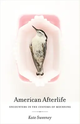 Vida americana después de la muerte: Encuentros en las costumbres del duelo - American Afterlife: Encounters in the Customs of Mourning