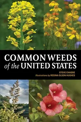 Hierbas comunes de Estados Unidos - Common Weeds of the United States