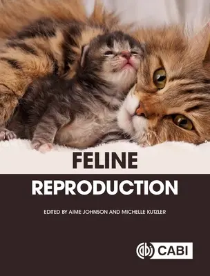 Reproducción felina - Feline Reproduction